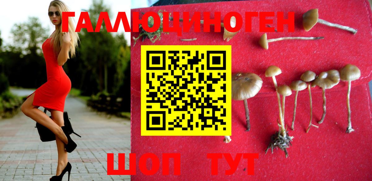 Галлюциногенные грибы Psilocybe Озёрск