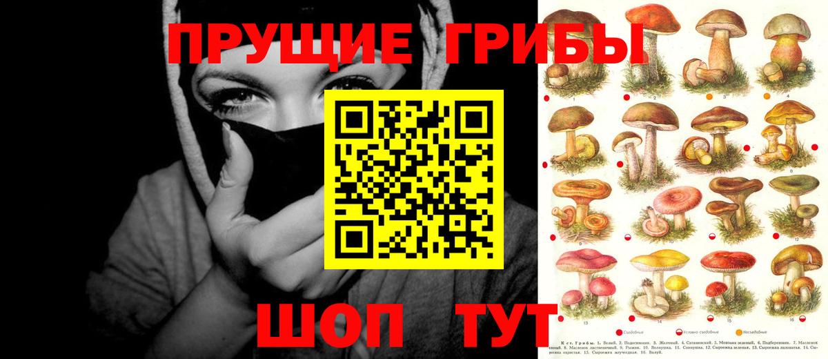 Озёрск  Псилоцибиновые грибы Cubensis  Галлюциногенные грибы ЛСД  Вход с VPN 